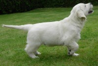 /album/fotogalerie/doo10-jpg/